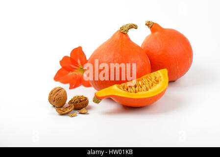 Zucche arancione con noci e fiori di ibisco su sfondo bianco Foto Stock