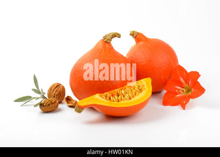 Zucche arancione all noci, salvia e fiori di ibisco su sfondo bianco Foto Stock