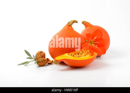 Zucche arancione all noci, salvia e fiori di ibisco su sfondo bianco Foto Stock