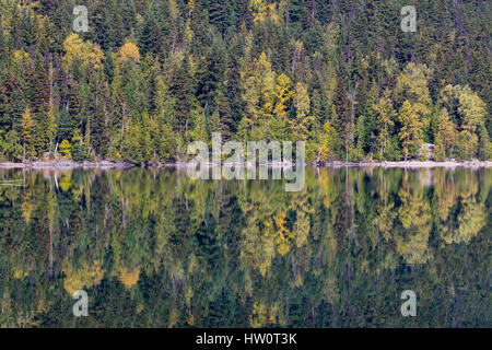 Simmetria e i colori dell'autunno. Calma le acque del lago di Birkenhead, BC, riflettono il meraviglioso bosco misto in simili a specchio acque. Foto Stock