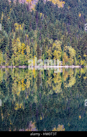 Caduta a Birkenhead lago, vicino a Whistler, BC e il bosco misto di conifere e giallo-lasciava cottonwoods riflettono in simmetria in questa immagine verticale. Foto Stock