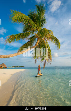 Maldive Rangali Island. Conrad Hilton Resort. Donna su un paddleboard sull'oceano, vicino a un albero di palma. (MR) Foto Stock