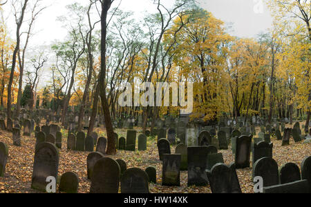 Cimitero ebraico di Varsavia - Okopowa str. Foto Stock