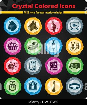 Ambulatorio veterinario crystal le icone a colori per il tuo design Illustrazione Vettoriale