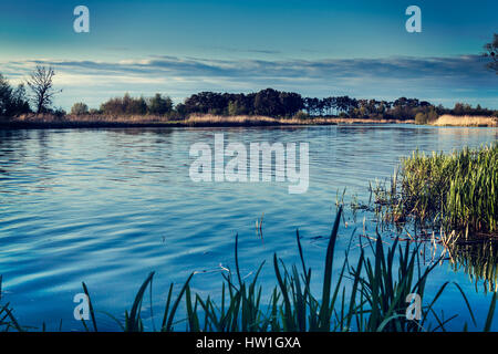 Il paesaggio sul Fiume Nogat, molla, Polonia. Immagine dai toni Foto Stock