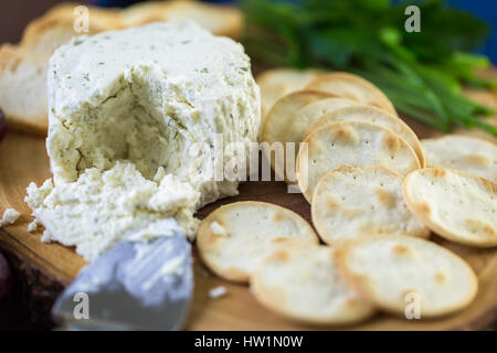 Soft aromatizzato il formaggio cremoso con aglio ed erbe fini su un pannello di legno con cracker. Foto Stock