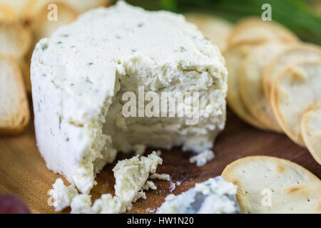 Soft aromatizzato il formaggio cremoso con aglio ed erbe fini su un pannello di legno con cracker. Foto Stock