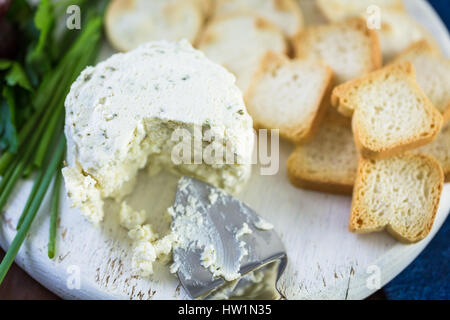 Soft aromatizzato il formaggio cremoso con aglio ed erbe fini su un pannello di legno con cracker. Foto Stock