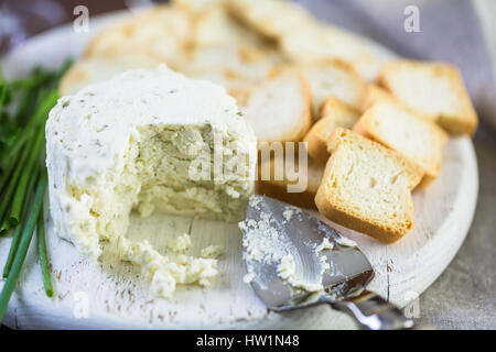 Soft aromatizzato il formaggio cremoso con aglio ed erbe fini su un pannello di legno con cracker. Foto Stock