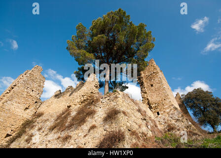 Rovine del Castello di Zocco, tra San Feliciano e Monte del Lago, Magione, Umbria, Italia Foto Stock