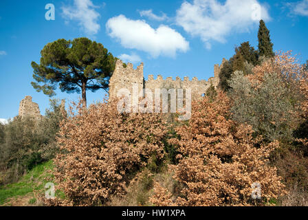 Rovine del Castello di Zocco, tra San Feliciano e Monte del Lago, Magione, Umbria, Italia Foto Stock