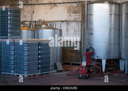 In vasche di acciaio inox per la fermentazione del vino in grotte Primavera nella regione di Bairrada del Portogallo, Europa Foto Stock