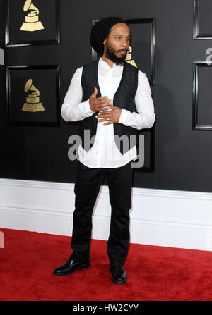 59Th Annual Grammy Awards 2017 presso lo Staples Center di Los Angeles - Arrivi con: Ziggy dove: Los Angeles, California, Stati Uniti quando: 12 Feb 2017 Foto Stock