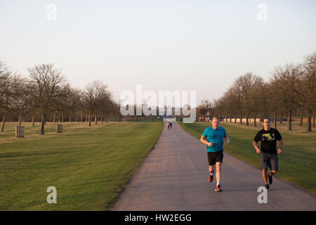 Windsor, Regno Unito. Il 15 marzo, 2017. Guide di scorrimento sul lungo cammino in Windsor Great Park su un caloroso inizio serata primaverile. Foto Stock