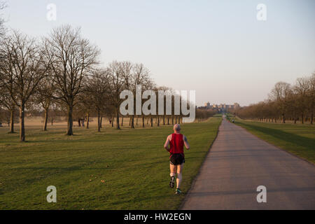 Windsor, Regno Unito. Il 15 marzo, 2017. Guide di scorrimento sul lungo cammino in Windsor Great Park su un caloroso inizio serata primaverile. Foto Stock