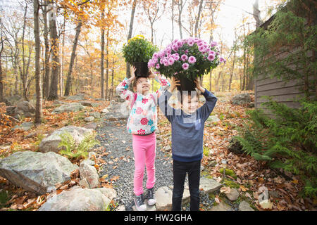 Razza mista fratello e sorella di fiori di bilanciamento su testate Foto Stock