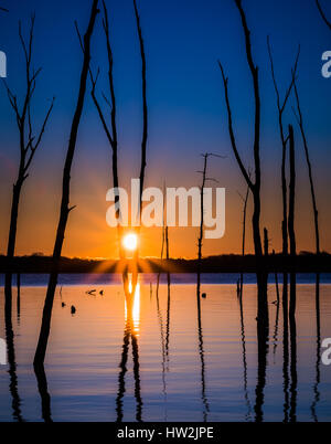 A volte un limpido sunrise può essere bella e unica troppo. Le acque calme e le riflessioni degli alberi morti trovati in questo serbatoio dare un se Foto Stock
