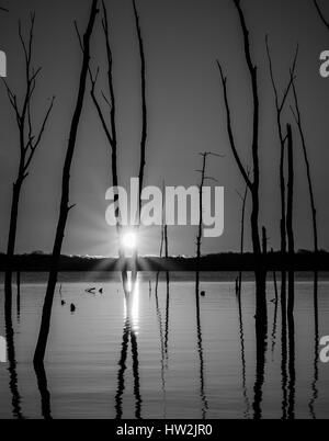 A volte un limpido sunrise può essere bella e unica troppo. Le acque calme e le riflessioni degli alberi morti trovati in questo serbatoio dare un se Foto Stock