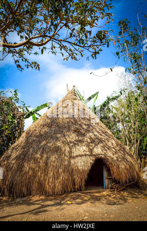 Capanna di legno con tetto di paglia nel villaggio di Fatumnasi, Timor Centrale Sud, Isola di Timor, Nusa Tenggara Est, Indonesia. Foto Stock