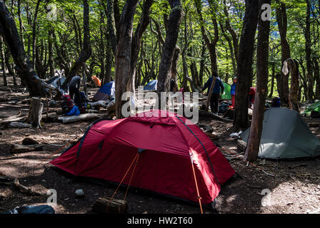 Le tende nel bosco, Poincenot base camp, campeggio libero sulla via a Mirador Laguna de los Tres, Fitz Roy mountain range, Los Glaciares National Pa Foto Stock