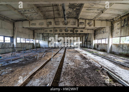 All'interno della Fattoria di Palazzo Vecchio kolkhoz in abbandonato Mashevo villaggio della centrale nucleare di Cernobyl la zona di alienazione in Ucraina Foto Stock