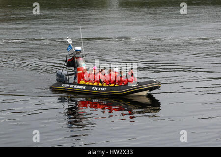 Whale Watch escursione in barca Saguenay Fjord National Park, QC, Canada Foto Stock