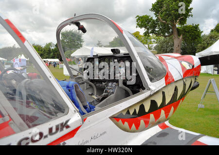 Cabina di pilotaggio di un aereo acrobatico. Foto Stock