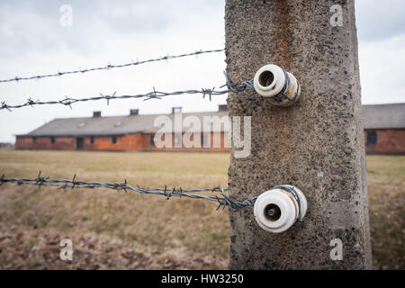 Vista ravvicinata della recinzione elettrificata isolatori Auschwitz Birkenau concentrazione morte camp Polonia Foto Stock