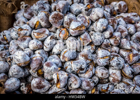 Castagne arrosto in vendita in Santo Ildefonso distretto della città di Porto sulla Penisola Iberica, la seconda più grande città in Portogallo Foto Stock