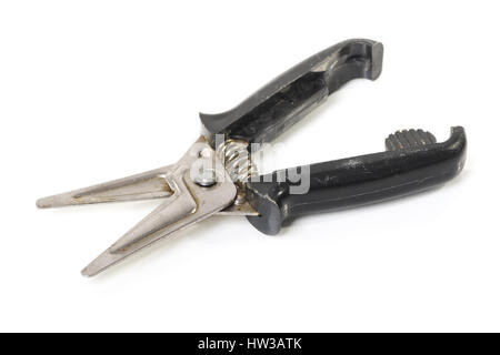 Vecchio giardino secateurs isolati su sfondo bianco Foto Stock