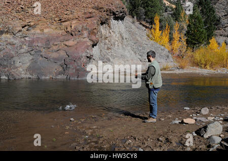 Un uomo che indossa un giubbotto di pesca sorge sul bordo di un fiume pescare un pesce con una canna da pesca in autunno. Foto Stock