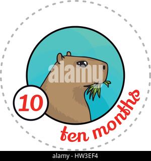 Mensile adesivo baby. Cartoon carino illustrazione degli animali per il piccolo ragazzo o ragazza. Primo anno di dieci mesi. Capibara erba da masticare Illustrazione Vettoriale