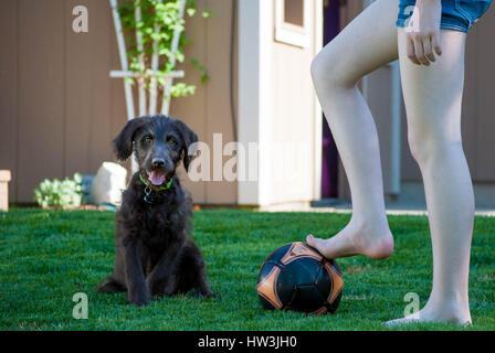 Cucciolo marrone ansimando e riposo dopo che giocano a calcio con bambino Foto Stock