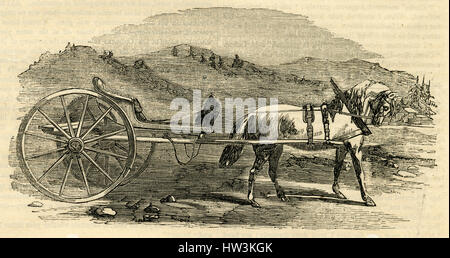 Antica incisione 1854, 'un Norvegese carriole." Un carriole era un tipo di trasporto utilizzato nel XIX secolo. È stato un leggero, piccolo e a due o quattro ruote, aperta o coperta, trainata da un cavallo singolo. Fonte: incisione originale. Foto Stock