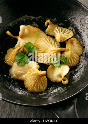 Giallo funghi oyster in padella con il burro in una padella Foto Stock