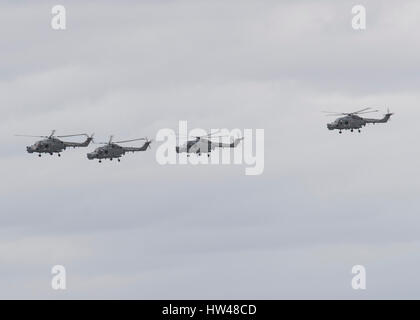 Odiham, UK. Xvii Mar, 2017. Venerdì 17 Marzo quattro Lynx Mk8 elicotteri da 815 Naval Air Squadron condotta un addio flypast intorno all'Inghilterra meridionale touring siti militari associato con la lince. Essi sono visibili qui lasciando RAF Odiham dopo un rifornimento di carburante prima di volare a Londra Credito: Niall Ferguson/Alamy Live News Foto Stock