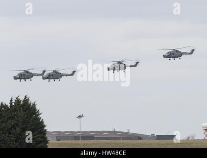 Odiham, UK. Xvii Mar, 2017. Venerdì 17 Marzo quattro Lynx Mk8 elicotteri da 815 Naval Air Squadron condotta un addio flypast intorno all'Inghilterra meridionale touring siti militari associato con la lince. Essi sono visibili qui lasciando RAF Odiham dopo un rifornimento di carburante prima di volare a Londra Credito: Niall Ferguson/Alamy Live News Foto Stock