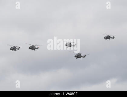 Odiham, UK. Xvii Mar, 2017. Venerdì 17 Marzo quattro Lynx Mk8 elicotteri da 815 Naval Air Squadron condotta un addio flypast intorno all'Inghilterra meridionale touring siti militari associato con la lince. Essi sono visibili qui lasciando RAF Odiham dopo un rifornimento di carburante prima di volare a Londra Credito: Niall Ferguson/Alamy Live News Foto Stock