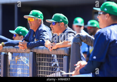 Port Charlotte, Florida, Stati Uniti d'America. Xvii Mar, 2017. Sarà VRAGOVIC | Orari.Tampa Bay Rays manager Kevin contanti (16) guardando l'azione durante il gioco tra il Minnesota Twins e il Tampa Bay Rays a Charlotte Sports Park in Port Charlotte, Fla. Venerdì, Marzo 17, 2017. Credito: Sarà Vragovic/Tampa Bay volte/ZUMA filo/Alamy Live News Foto Stock