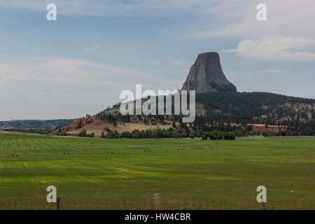 Devils Tower rock e campi di fattoria nel paesaggio remoto, Wyoming negli Stati Uniti Foto Stock