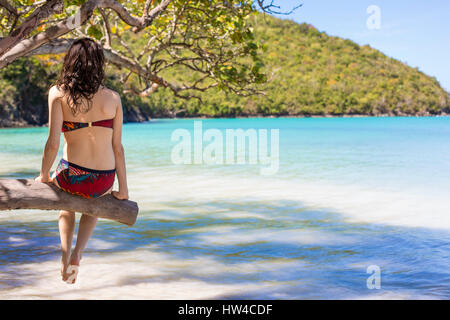 Caucasian donna seduta sul ramo sulla spiaggia tropicale Foto Stock