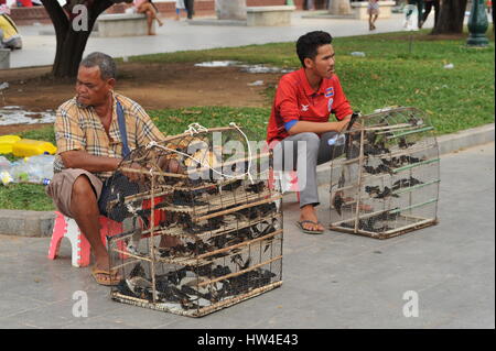 "The Birdmen of Phnom Penh" sul lungofiume, crudeltà animale, influenza aviaria. Phnom Penh, Cambogia. Credito: Kraig lieb Foto Stock