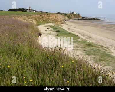 Vista del litorale in ritirata causati dall'erosione costiera, a happisburgh norfolk England Regno Unito Foto Stock