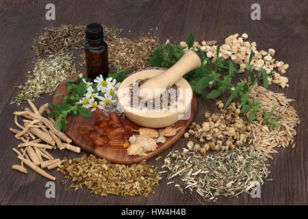 A base di erbe naturali farmaci utilizzati per curare ansia e disturbi del sonno con mortaio e pestello e olio essenziale bottiglia su sfondo di quercia. Foto Stock