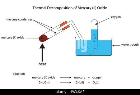 Schema di decomposizione termica di ossido di mercurio. Diagramma vettoriale per uso didattico. Illustrazione Vettoriale