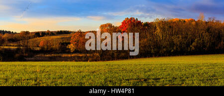 Fall in Hudson Valley NY. Leaves changing color with overcast sky. Near Troy NY. Foto Stock