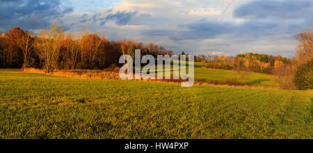Fall in Hudson Valley NY. Leaves changing color with overcast sky. Near Troy NY. Foto Stock