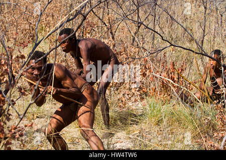 I Boscimani persone che simula una battuta di caccia con arco e frecce a Grashoek, Namibia settentrionale Foto Stock