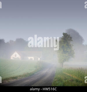 Strada di campagna e agriturismo immerso nella nebbia di mattina. Osterlen, Skane, Svezia, Skandinavia. Foto Stock