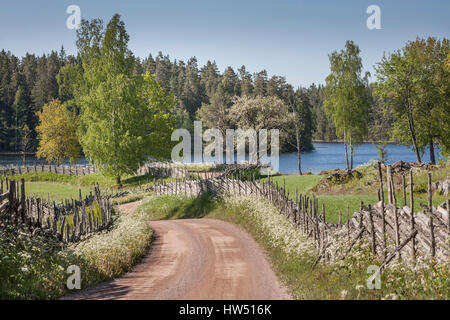 Il pittoresco paese strada che conduce a un lago attraverso un bellissimo paesaggio rurale, Smaland, Svezia e Scandinavia. Foto Stock